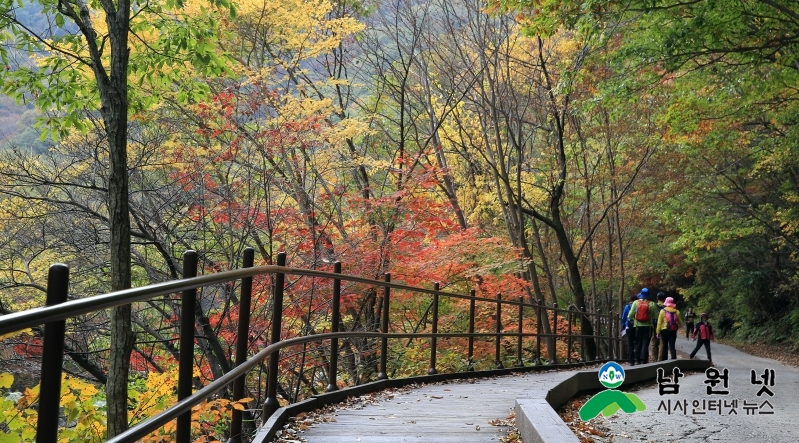 1019 산내면 - 제40회 지리산 뱀사골 단풍축제 1.jpg