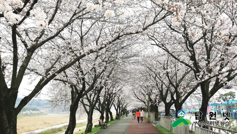 0407 산림과 - 요천 100리 숲길 사랑의 꽃 보러오세요 1.jpg