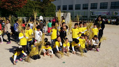 1030 서울초등학교 방문하여 친환경벼 수확체험,도시민에게 인기3.jpg