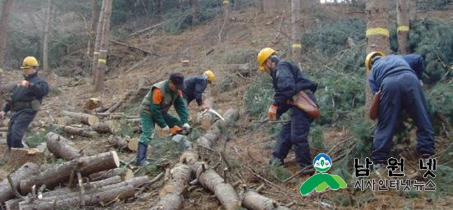 크기변환_0212산림녹지과-19년도 정책숲가꾸기 사업추진1.jpg