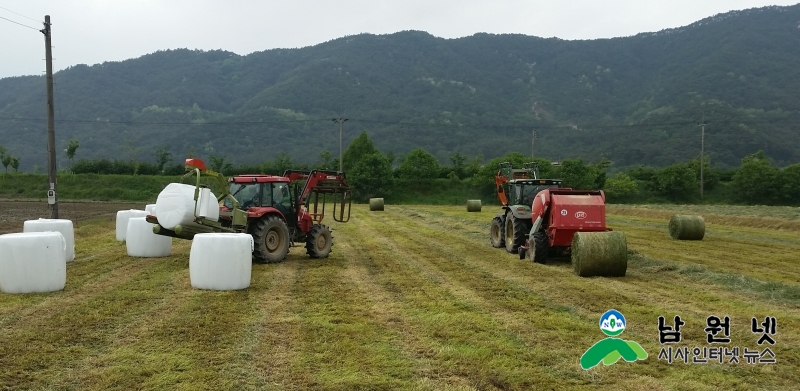 0221농정과 - 논타작물 재배지원 쌀경쟁력 육성1.jpg