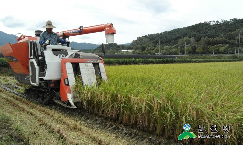 0701 농정과 - 남원시 쌀 산업으로 농업 경쟁력 선점(참미 수확)1.jpg